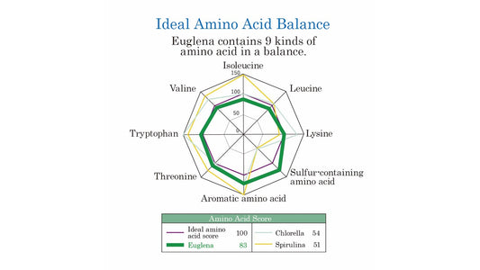 Euglena for Men （Power Euglena）