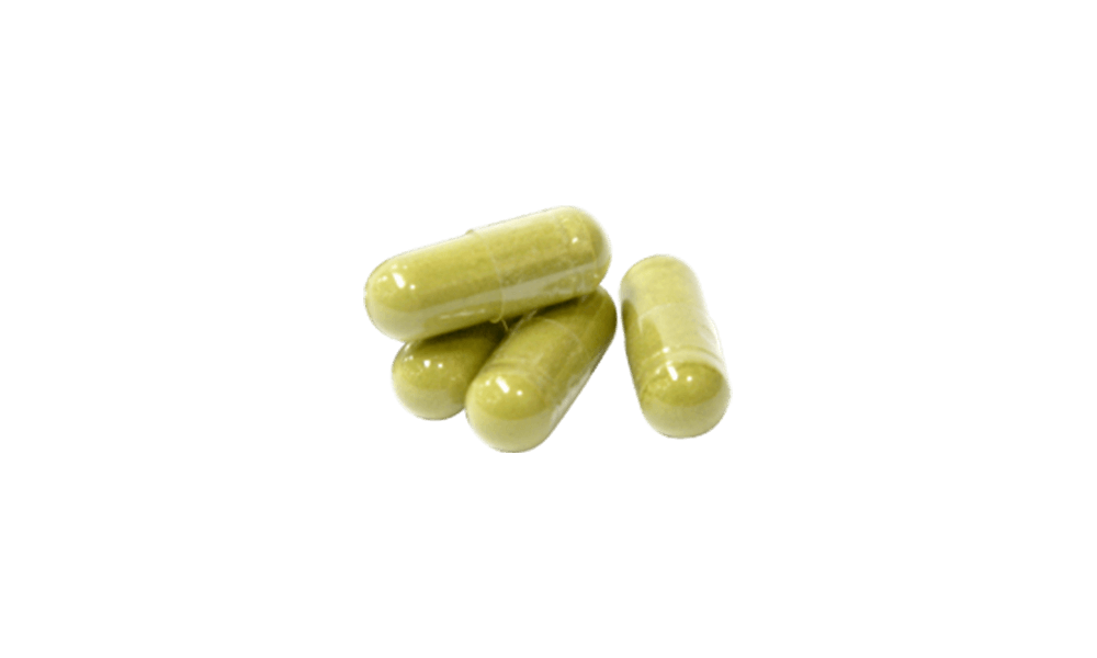 Euglena ( Inochi no Euglena) [1 carton 200 bags]